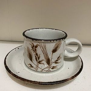 Midwinter Wild Oats Stonehenge Cup & Saucer